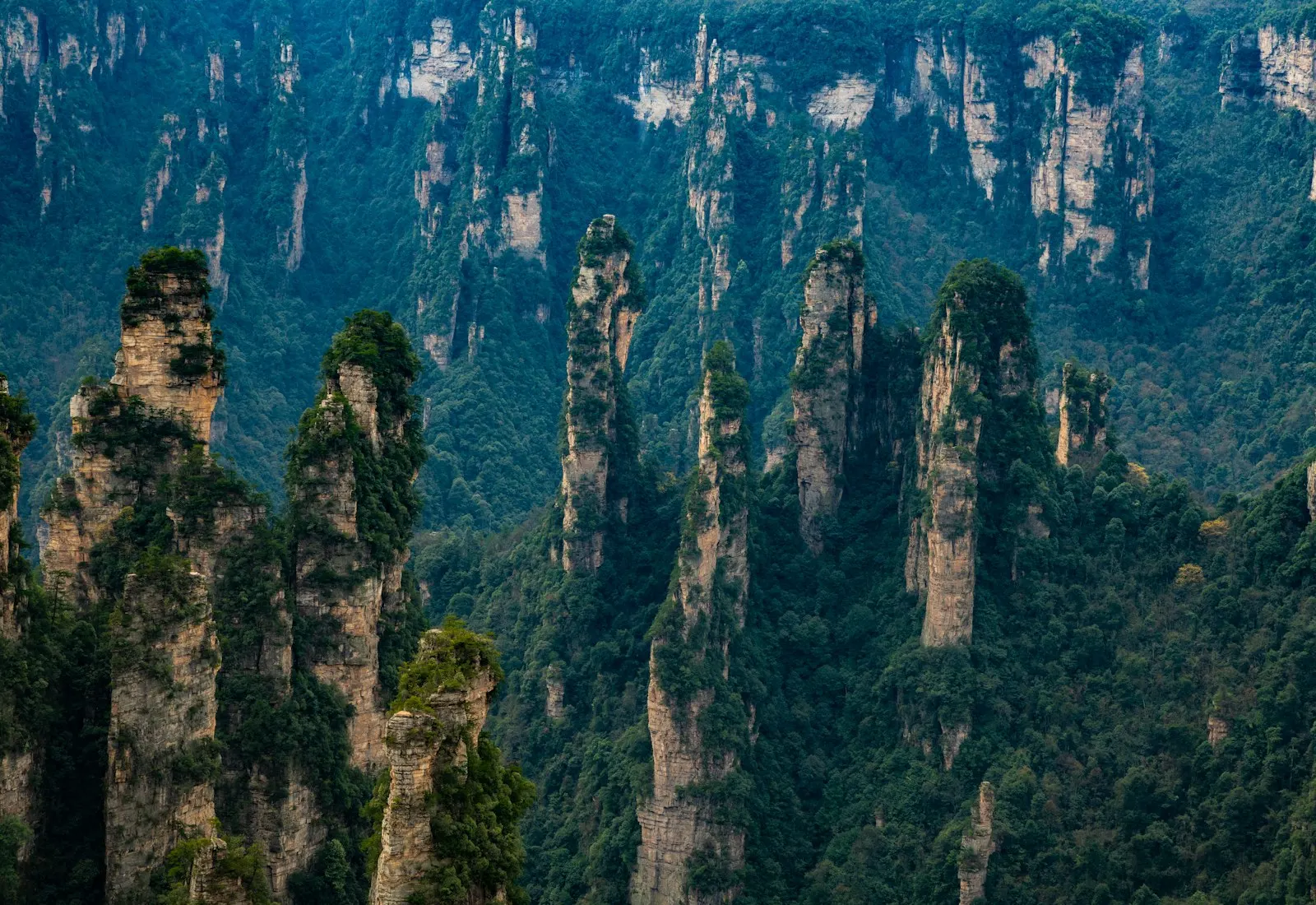 Sandstone mountain pillars in Zhangjiajie National Forest Park